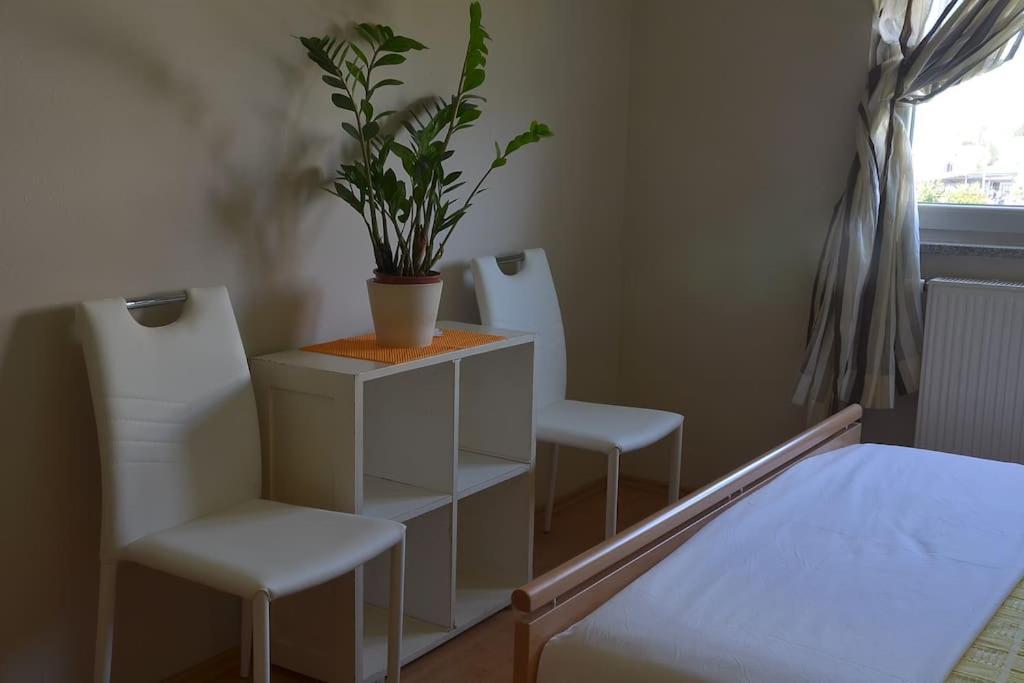 Apartman Ana Pula - Calm, Free Parking, Close To Center Bagian luar foto